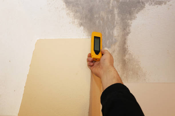 Best HVAC Mold Inspection and Cleaning  in Bardstown, KY