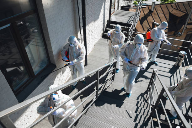 Best Mold Removal for HVAC Installations  in Bardstown, KY