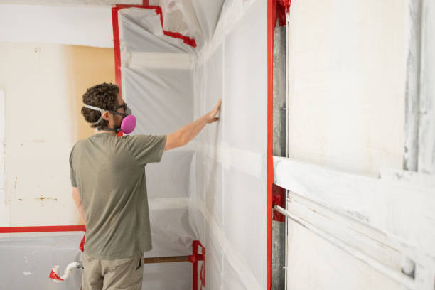 Best Residential Mold Inspection & Testing  in Bardstown, KY