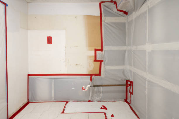 Best Environmental Consulting for Mold Prevention  in Bardstown, KY