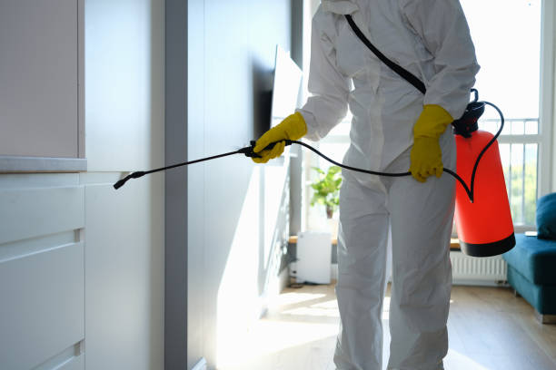Mold Documentation for Insurance Claims in Bardstown, KY