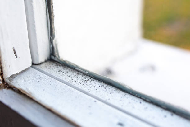 Best Dehumidification Services  in Bardstown, KY