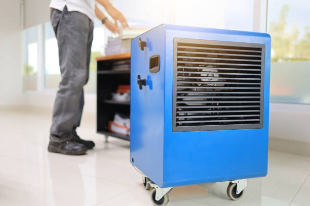 Best Forensic Mold Investigation  in Bardstown, KY